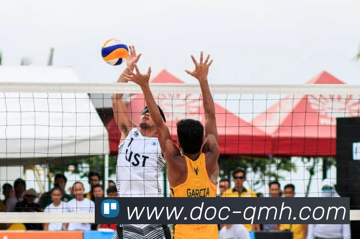 App Interface Preview